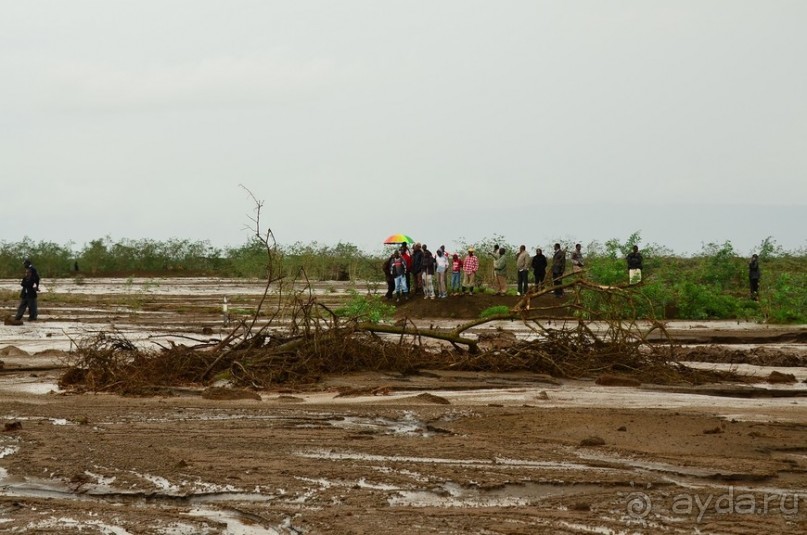 Акуна матата — дубль два. Кения в сезон дождей. Часть 2