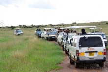 Масаи-Мара в мае