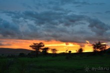 Масаи-Мара в мае