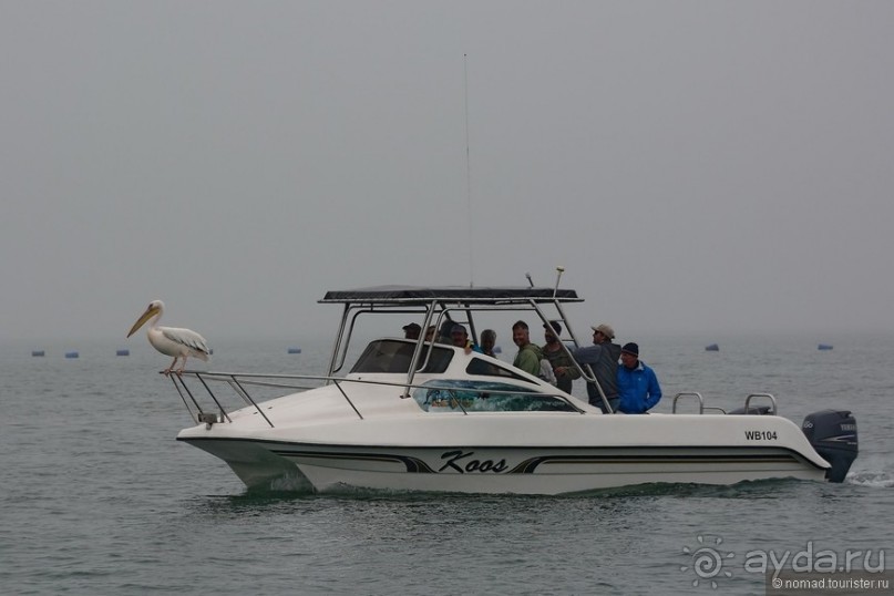 Африканский калейдоскоп. Часть 8