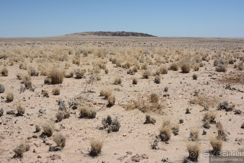 Африканский калейдоскоп. Часть 8