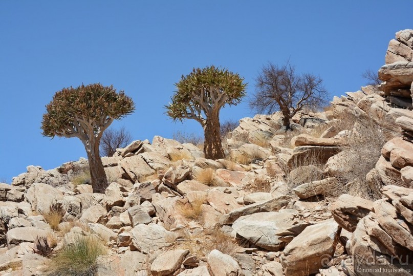 Африканский калейдоскоп. Часть 8