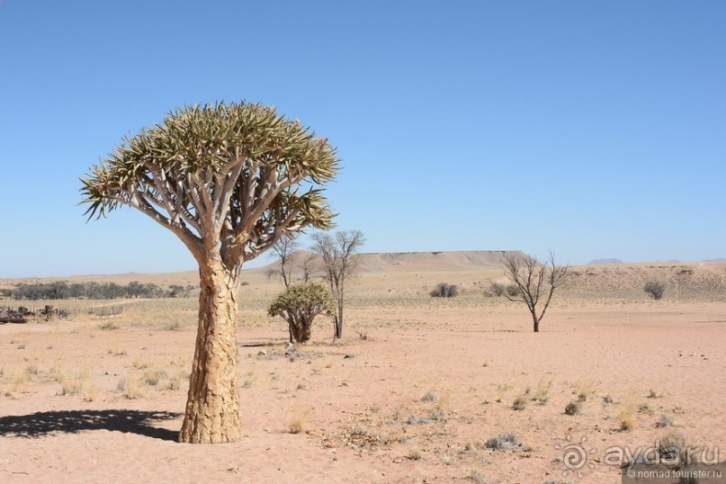 Африканский калейдоскоп. Часть 8