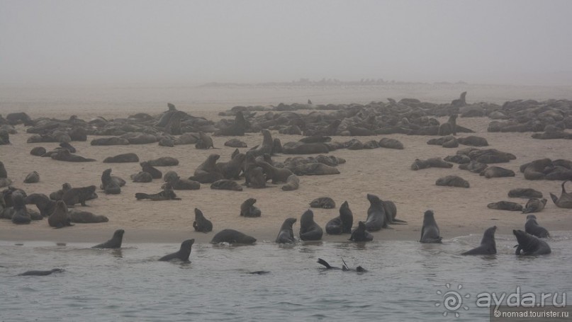 Африканский калейдоскоп. Часть 8