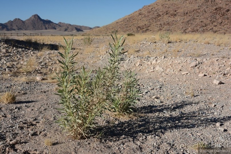 Африканский калейдоскоп. Часть 8