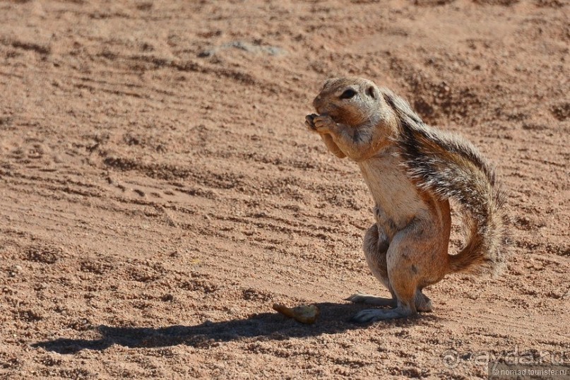 Африканский калейдоскоп. Часть 8