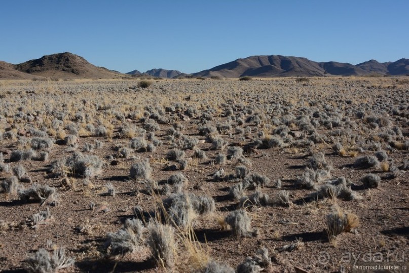 Африканский калейдоскоп. Часть 8