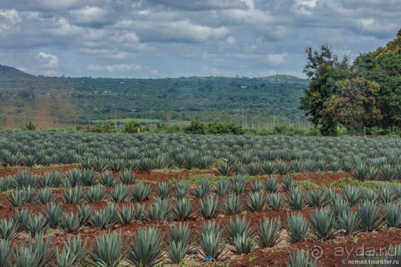 Африканское ралли. Часть 13. Окончание