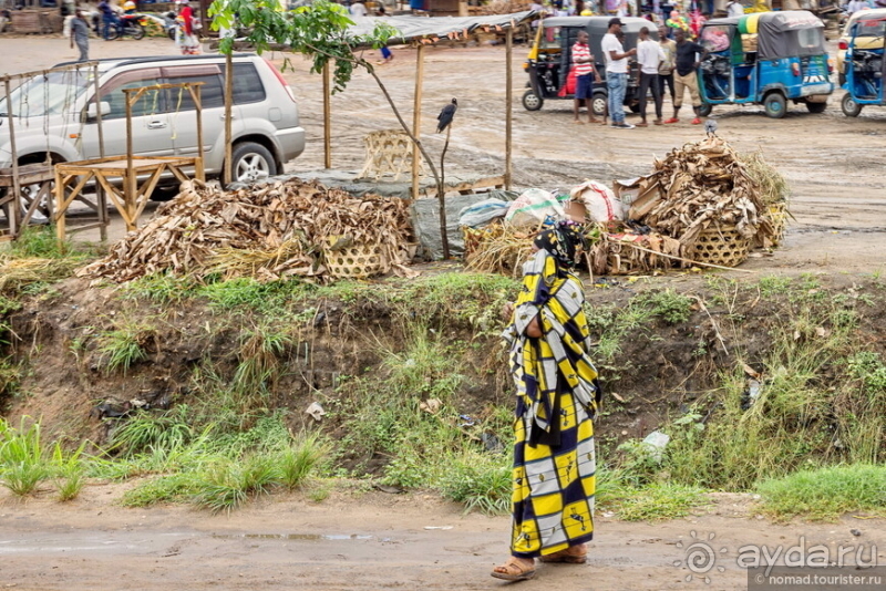 Африканское ралли. Часть 13. Окончание