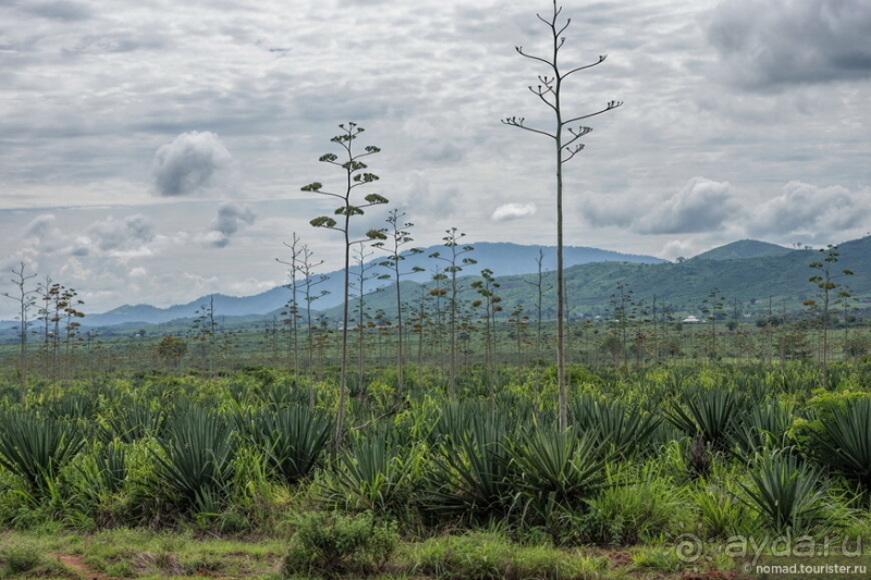 Африканское ралли. Часть 13. Окончание