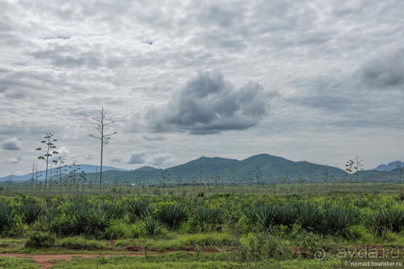 Африканское ралли. Часть 13. Окончание