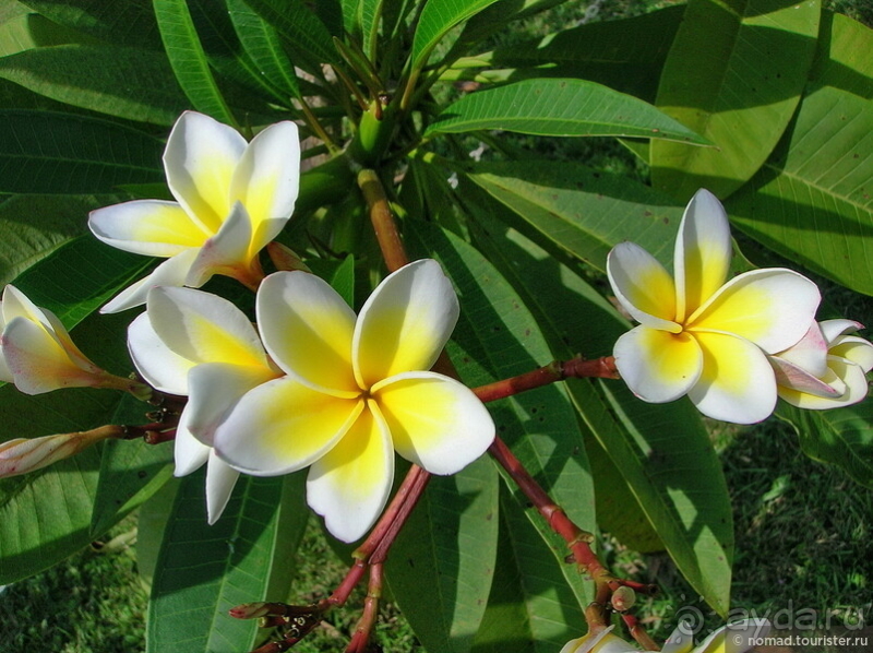 По волнам моей памяти. Камбоджа-Таиланд