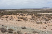 Африканский калейдоскоп. Часть 5