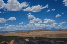 Африканский калейдоскоп. Часть 5