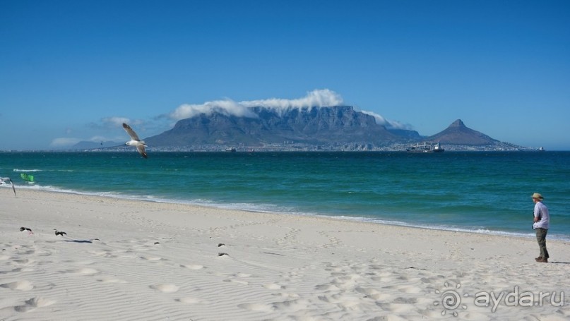 Африканский калейдоскоп. Часть 5