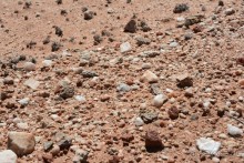 Африканский калейдоскоп. Часть 5