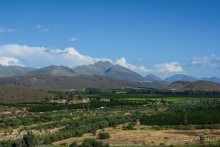 Африканский калейдоскоп. Часть 5