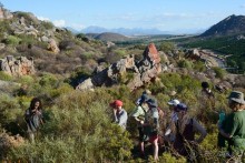 Африканский калейдоскоп. Часть 5