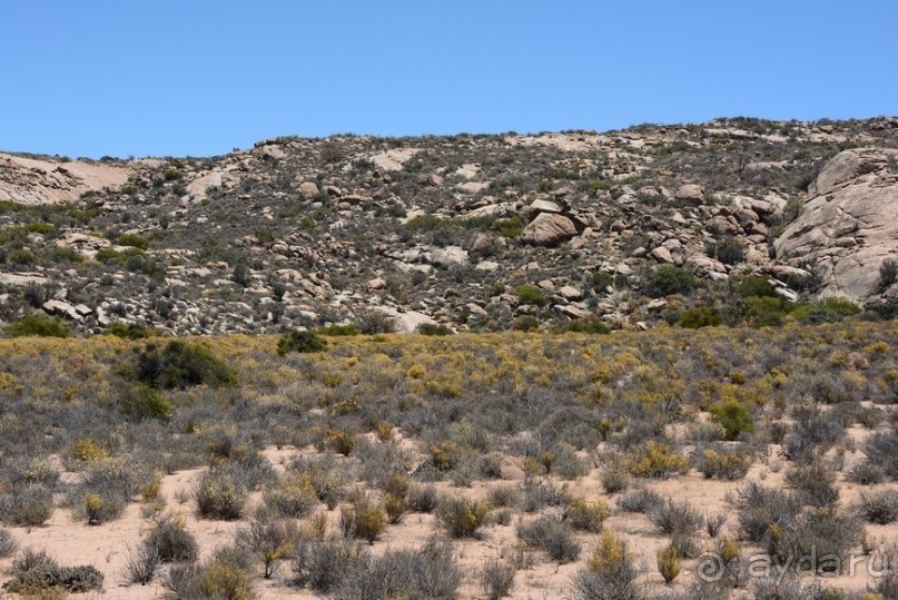 Африканский калейдоскоп. Часть 5