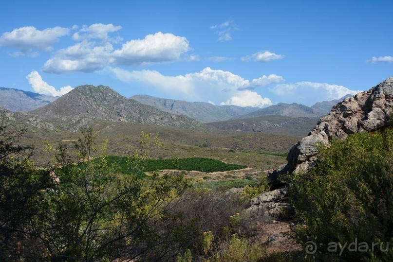 Африканский калейдоскоп. Часть 5