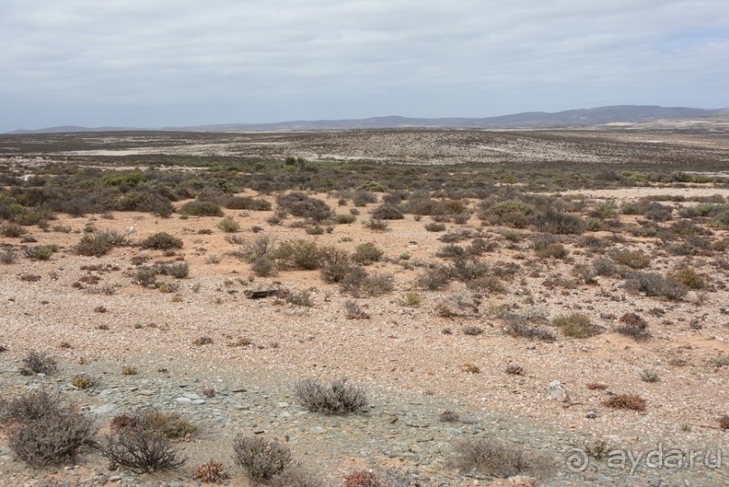 Африканский калейдоскоп. Часть 5