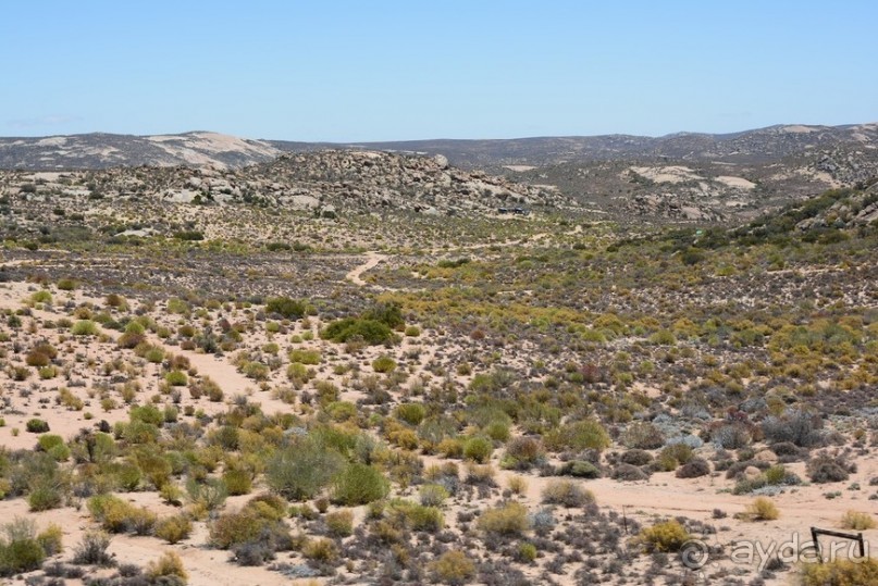 Африканский калейдоскоп. Часть 5