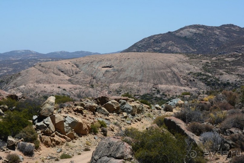 Африканский калейдоскоп. Часть 5