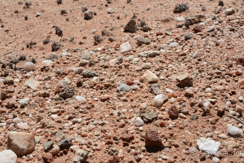 Африканский калейдоскоп. Часть 5