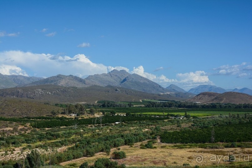 Африканский калейдоскоп. Часть 5