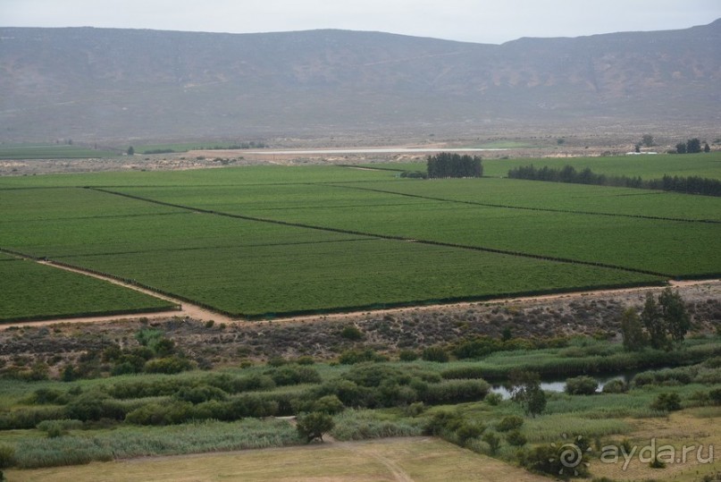 Африканский калейдоскоп. Часть 5