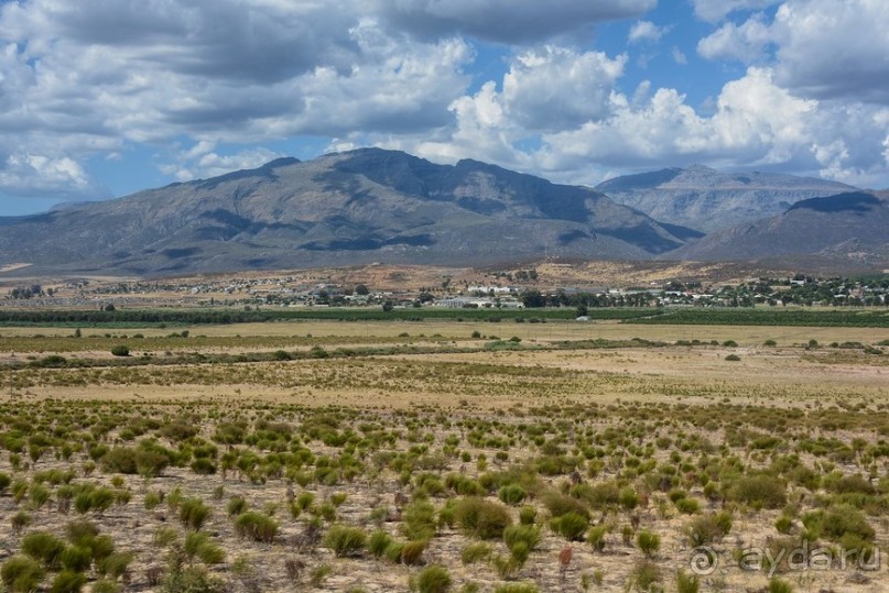 Африканский калейдоскоп. Часть 5