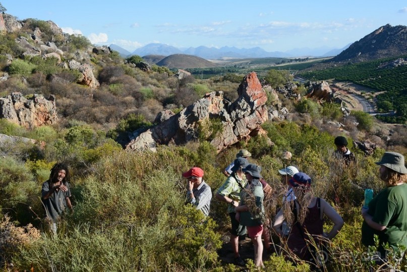 Африканский калейдоскоп. Часть 5