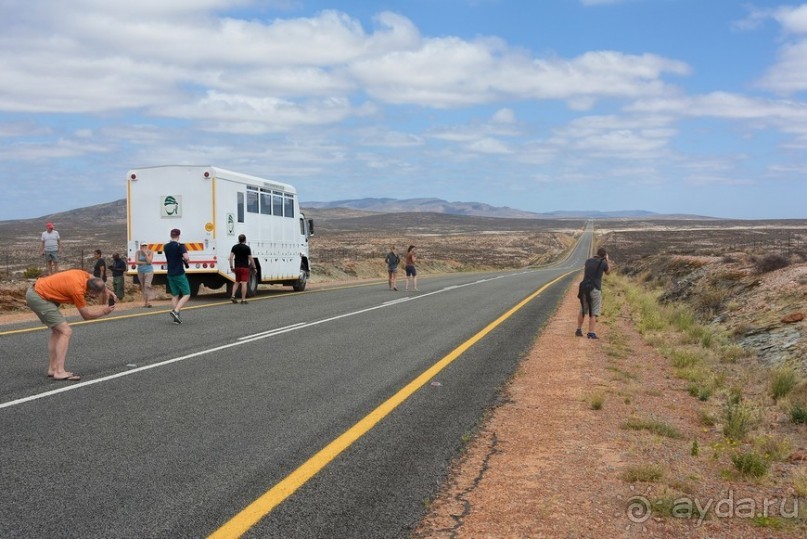 Африканский калейдоскоп. Часть 5