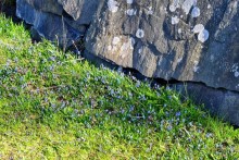 Скандинавские сказки. Суоменлинна