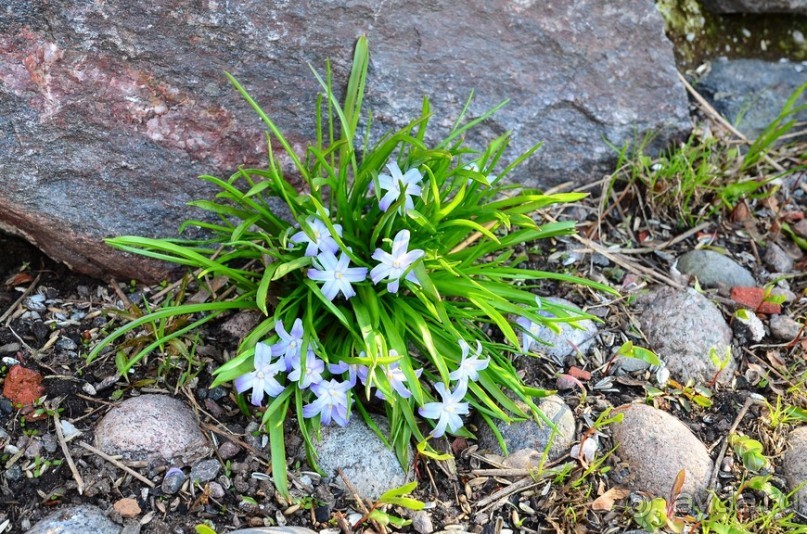 Скандинавские сказки. Суоменлинна