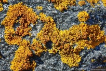 Скандинавские сказки. Суоменлинна