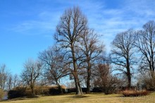 Скандинавские сказки. Суоменлинна