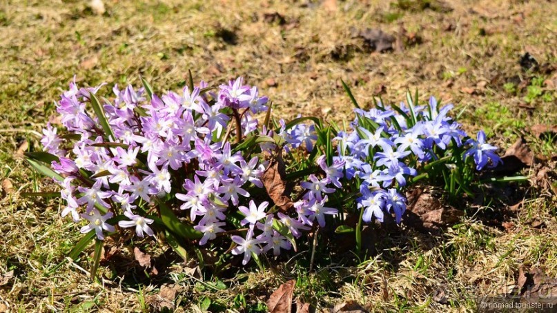 Скандинавские сказки. Суоменлинна