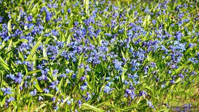 Скандинавские сказки. Суоменлинна