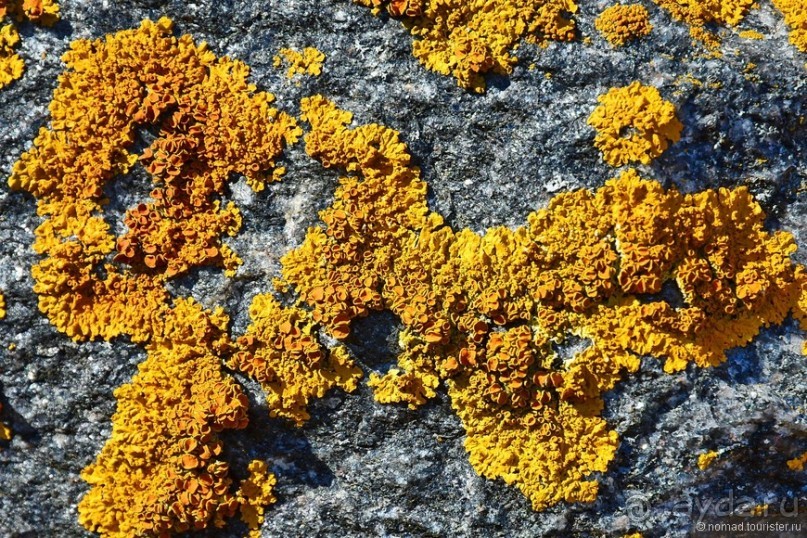 Скандинавские сказки. Суоменлинна