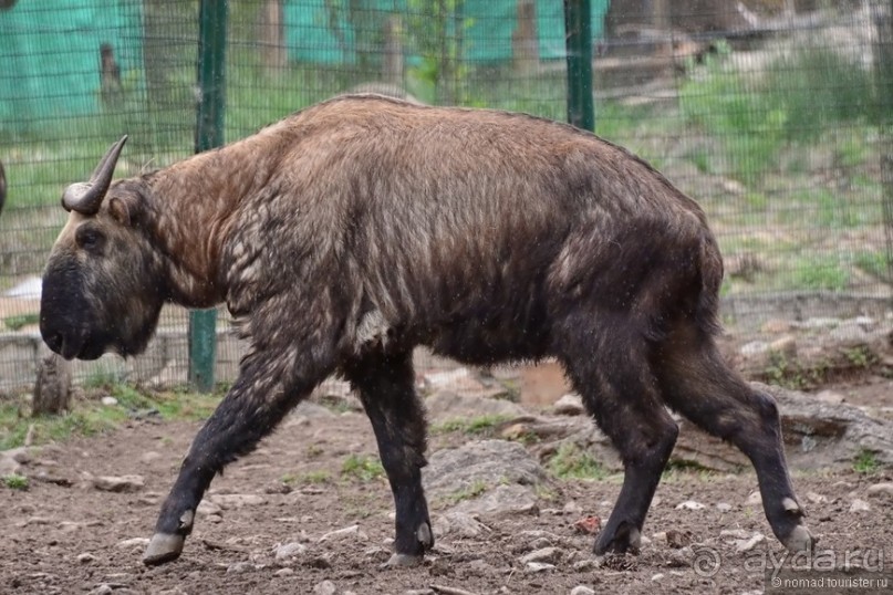 Затерянные Гималаи, Непал-Бутан. Часть 9