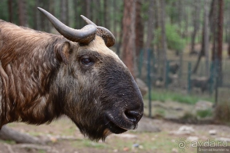 Затерянные Гималаи, Непал-Бутан. Часть 9