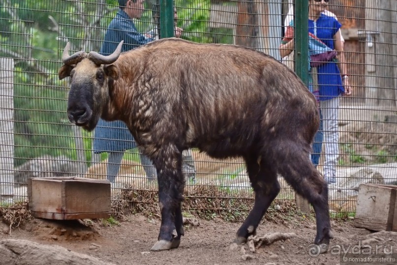 Затерянные Гималаи, Непал-Бутан. Часть 9
