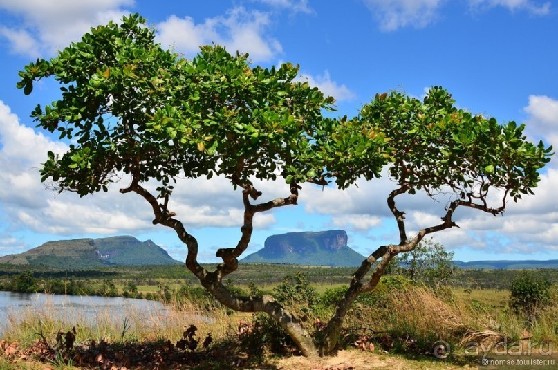 Американские горки (декабрь 2012-январь 2013) Часть 1