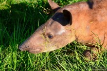 Американские горки (декабрь 2012-январь 2013) Часть 1