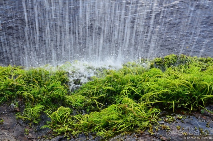 Американские горки (декабрь 2012-январь 2013) Часть 1