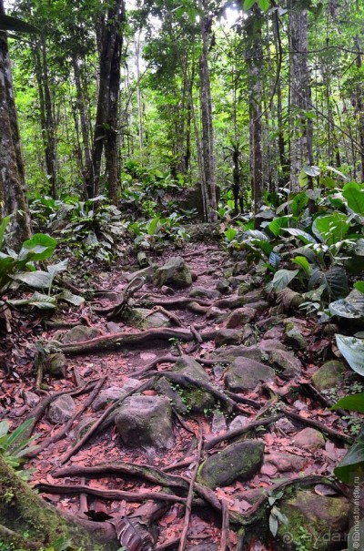 Американские горки (декабрь 2012-январь 2013) Часть 1