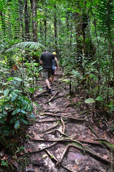 Американские горки (декабрь 2012-январь 2013) Часть 1