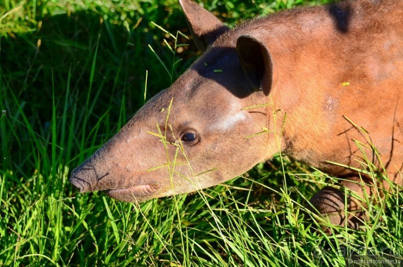 Американские горки (декабрь 2012-январь 2013) Часть 1