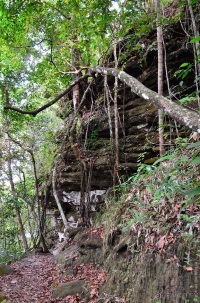 Американские горки (декабрь 2012-январь 2013) Часть 1